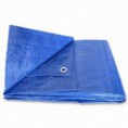 Plastic Tarp